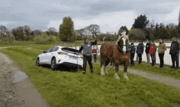 狗仔爆料最新动态图片,明星最新动态大揭秘！