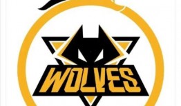 爆料狼队训练视频大全最新