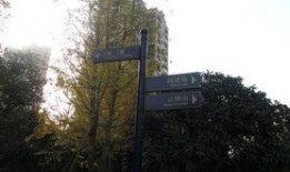 新江湾城最新爆料事件新闻,神秘事件引发热议，真相即将揭晓