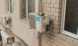 长春德惠最新爆料,揭秘德惠发展新动向与挑战